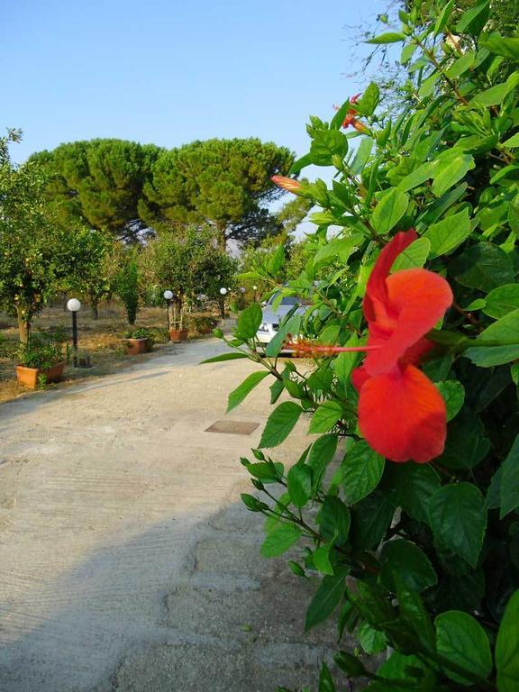 "Green" B&B Il Bracco パルティニーコ エクステリア 写真